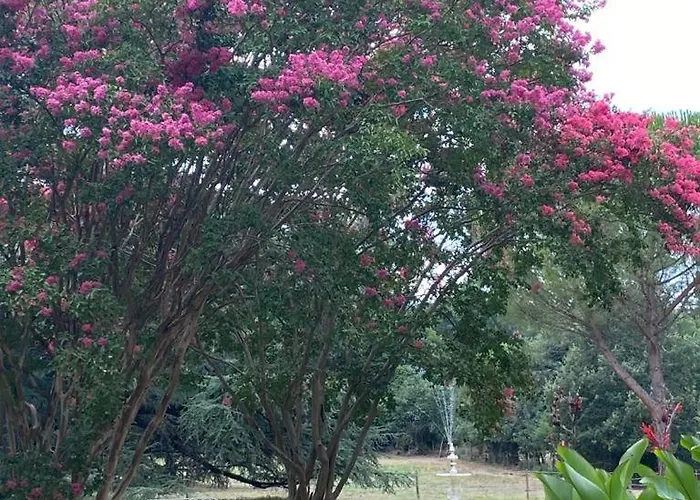 D'hotes A Penzion Labège